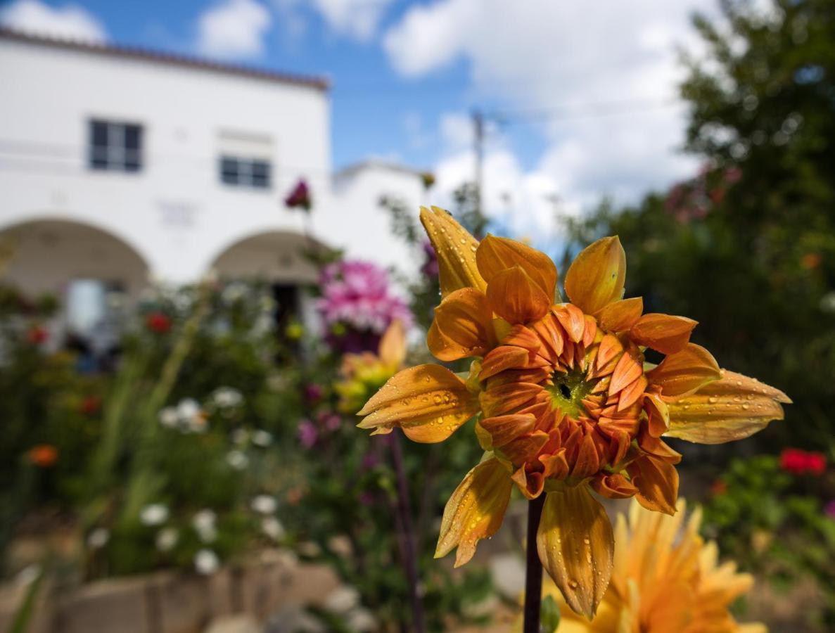 Residencia Quinta Do Poco Guesthouse Sagres Buitenkant foto